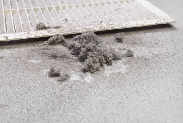 Best Air Duct Cleaning Near Me  in Kent City, MI
